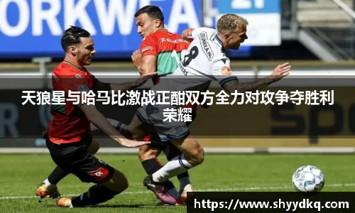 天狼星与哈马比激战正酣双方全力对攻争夺胜利荣耀