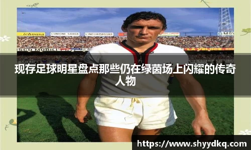 现存足球明星盘点那些仍在绿茵场上闪耀的传奇人物